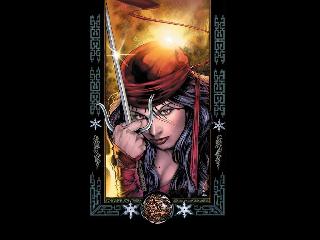   Represente : Elektra  Daredevil - Collection : Marvel Knights Auteur : - 768x1024