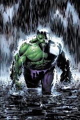   Represente : Hulk  Hulk - Collection : 100% Marvel Auteur : - 841x565