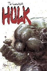   Represente : Hulk  Hulk - Collection : 100% Marvel Auteur : Inconnue 846x565