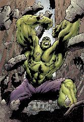   Represente : Hulk  Hulk - Collection : 100% Marvel Auteur : - 815x565