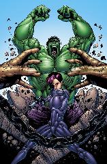   Represente : Hulk  Hulk - Collection : 100% Marvel Auteur : - 915x600