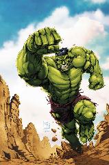   Represente : Hulk  Hulk - Collection : 100% Marvel Auteur : - 851x565