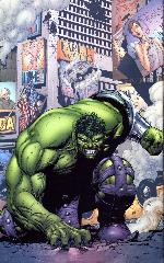   Represente : Hulk  Hulk - Collection : 100% Marvel Auteur : Gary Frank 2531x1587