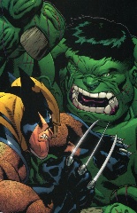   Represente : Hulk, Wolverine  Hulk - Collection : 100% Marvel Auteur : Ed Mac Guinness 3591x2331