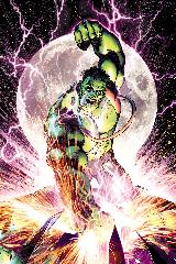   Represente : Hulk  Hulk - Collection : 100% Marvel Auteur : Inconnue 2394x1596