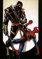   Represente : Spider-man, Ronin  Spider-man - Collection : L'âge D'or Auteur : Mark Bagley 2055x1485