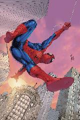   Represente : Spider-man  Spider-man - Collection : 100% Marvel Auteur : - 2394x1596