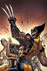   Represente : Wolverine  Wolverine Auteur :  J. Scott Campbell, Eldelgado 1214x800