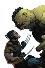   Represente : Hulk, Wolverine  Hulk Auteur : Inconnue 2394x1596