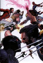   Represente : Wolverine, Spider-man, Tornade  X-men - Collection : Marvel X-treme Auteur : Greg Land 3070x2127