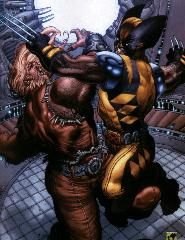   Represente : Wolverine, Logan, Dent De Sabre, Sabretooth  Wolverine / Punisher - Collection : 100% Marvel Auteur : Simone Bianchi 1948x1509