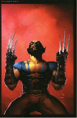   Represente : Serval, Wolverine  Wolverine - Collection : 100% Marvel Auteur : - 3281x2137