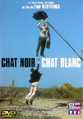 chat_noir_chat_blanc.jpg