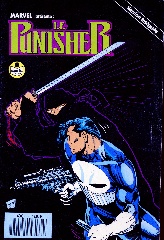 punisher_(7).jpg